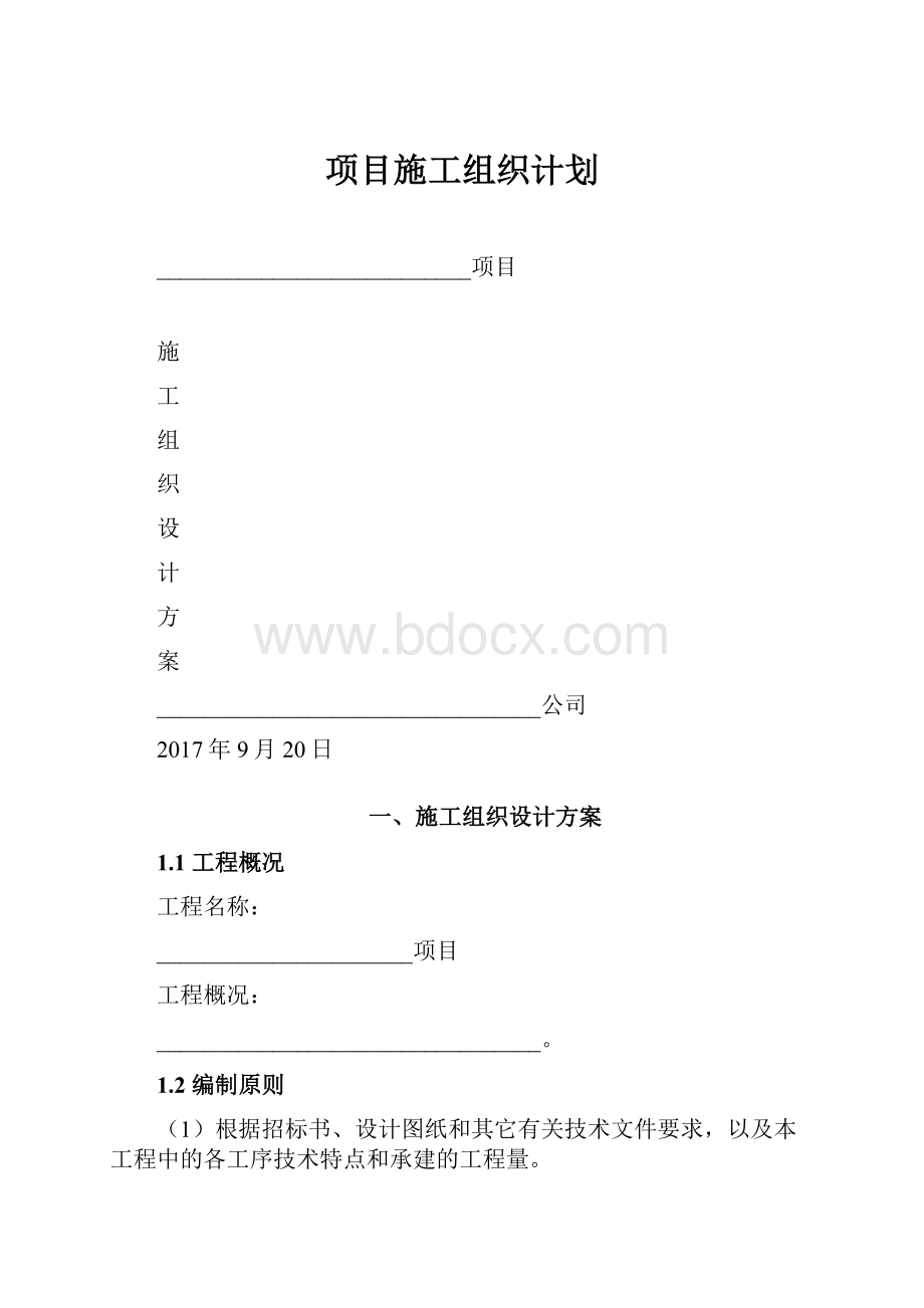 项目施工组织计划.docx