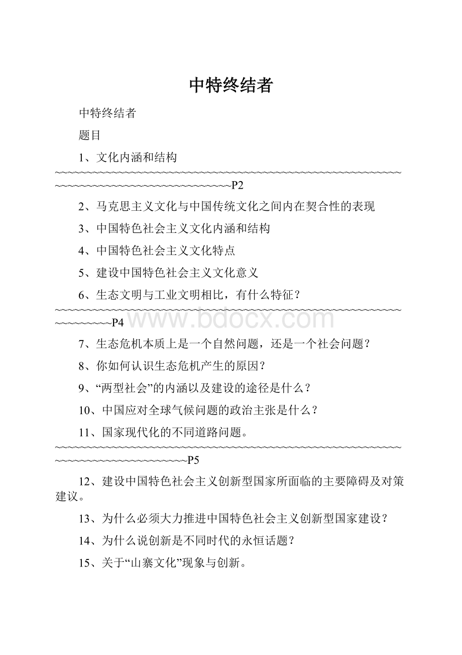 中特终结者.docx_第1页