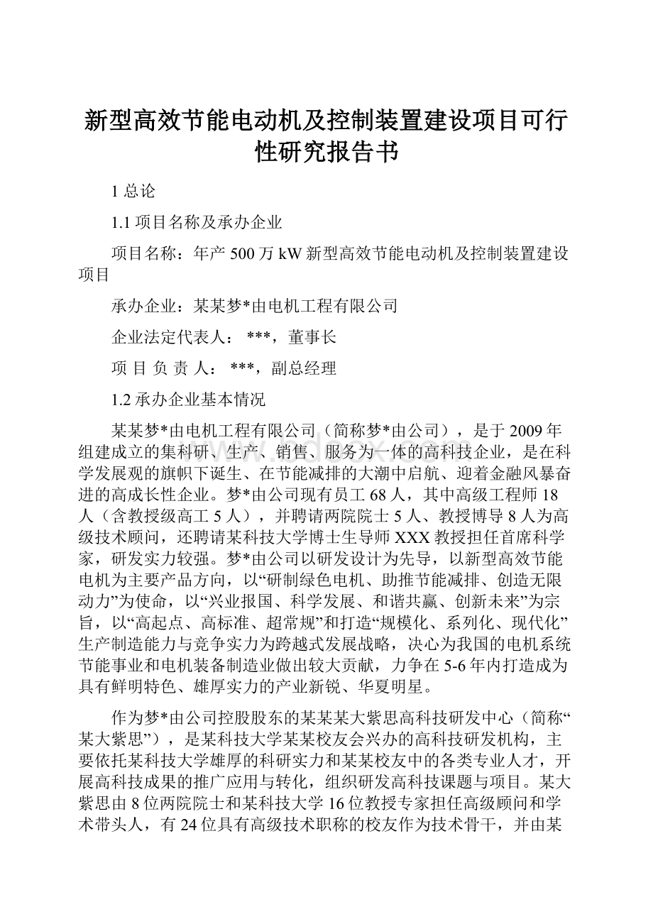 新型高效节能电动机及控制装置建设项目可行性研究报告书.docx_第1页