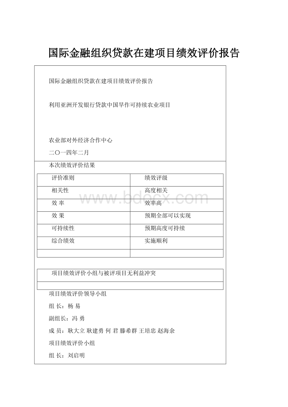 国际金融组织贷款在建项目绩效评价报告.docx