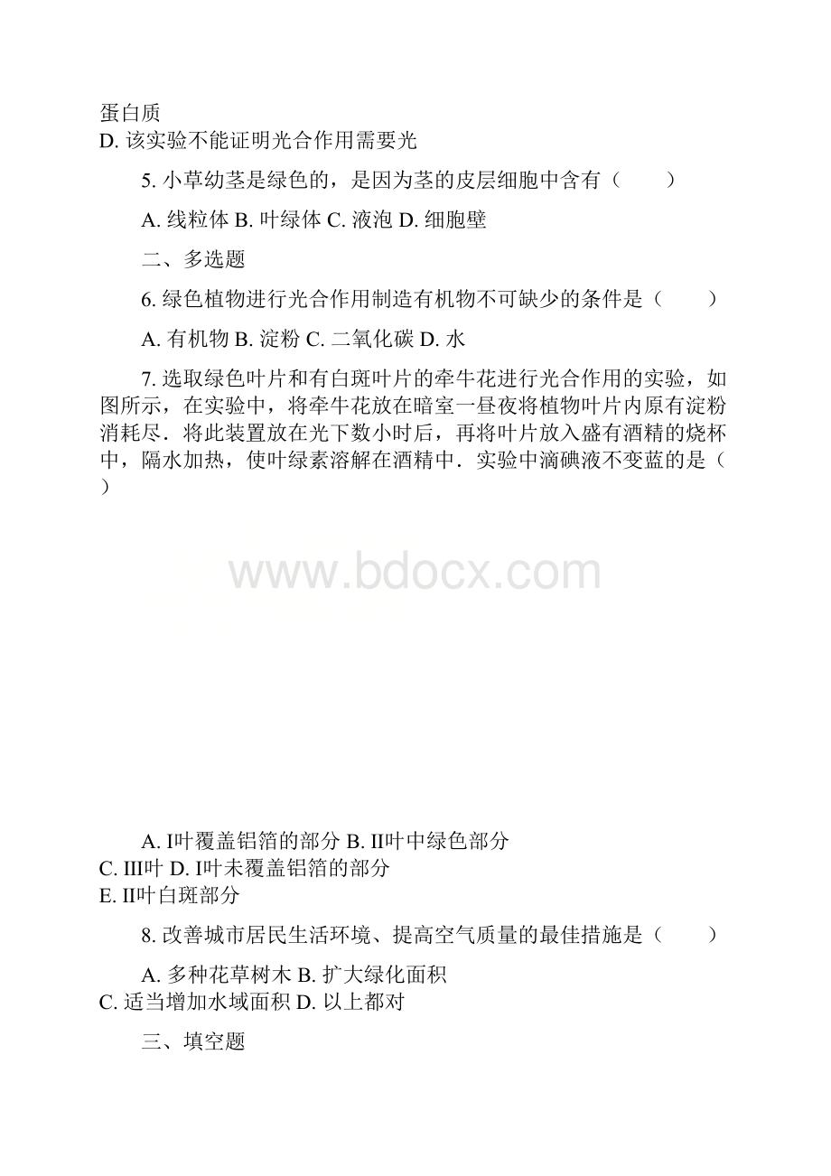 广东省湛江市学年七年级生物上册 34绿色植物是生物圈中有机物的制造者同步练习 新版新人教版.docx_第2页