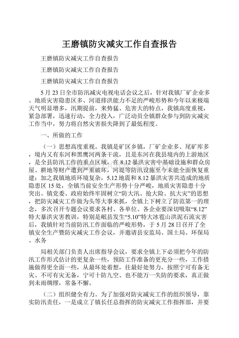 王磨镇防灾减灾工作自查报告.docx_第1页