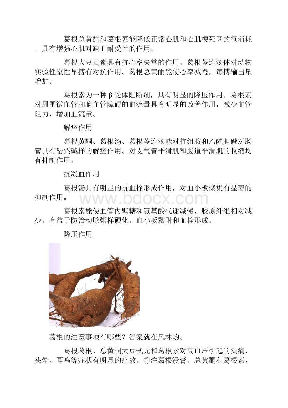 葛根的作用与功效葛根粉和葛根的区别葛根食谱大全doc.docx_第2页