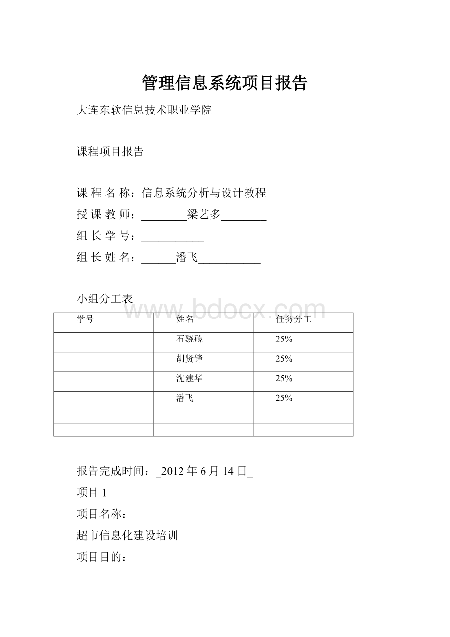 管理信息系统项目报告.docx