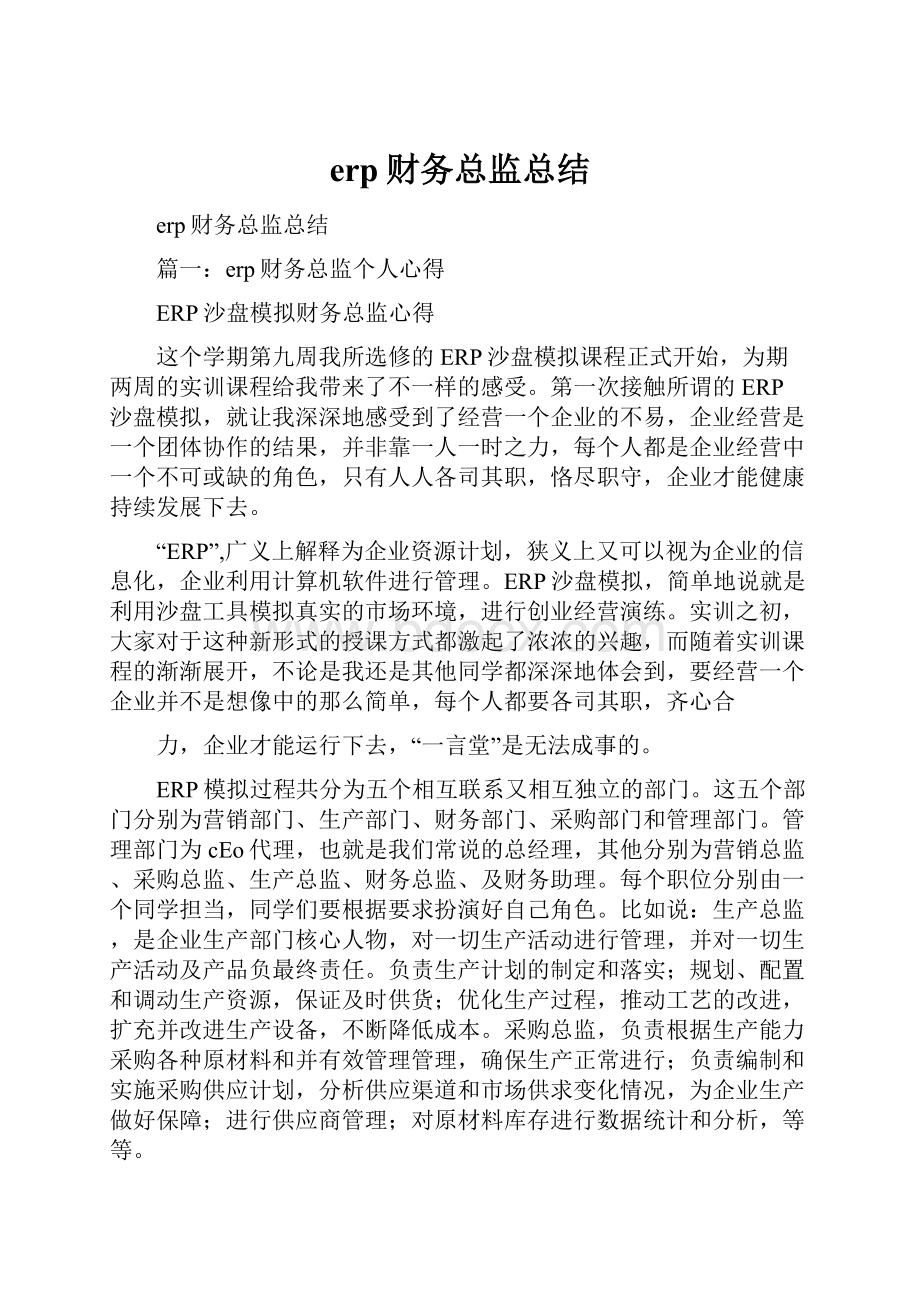 erp财务总监总结.docx