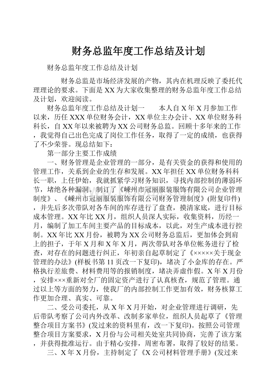 财务总监年度工作总结及计划.docx