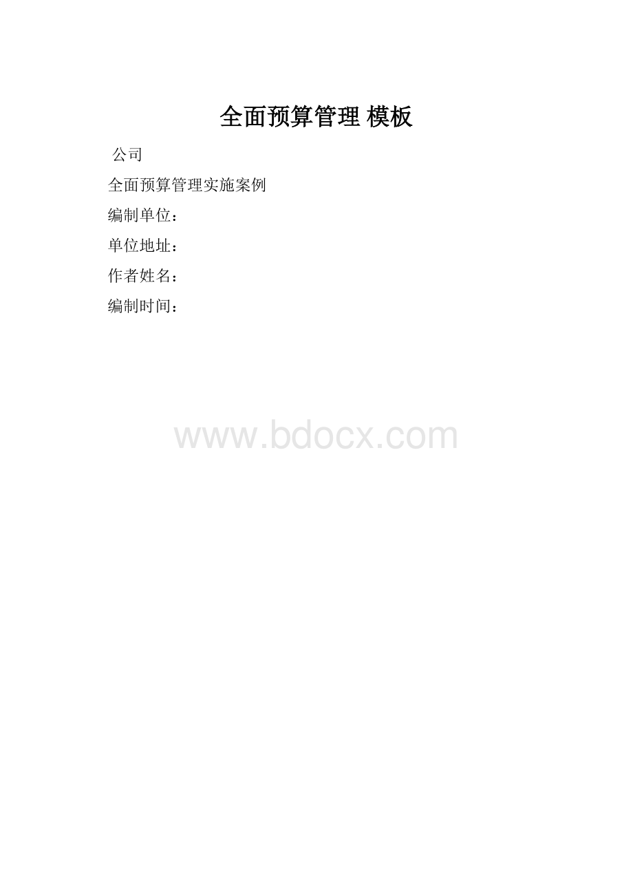 全面预算管理模板.docx_第1页