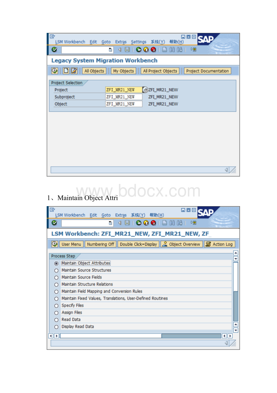 SAP数据迁移工具LSMW详解.docx_第3页