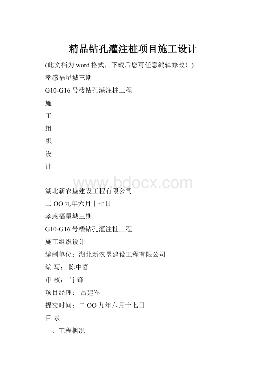 精品钻孔灌注桩项目施工设计.docx_第1页