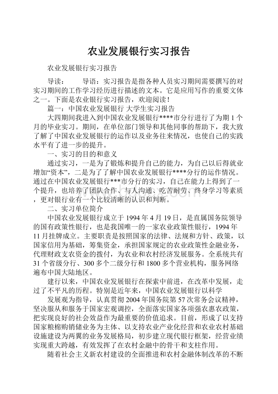 农业发展银行实习报告.docx_第1页