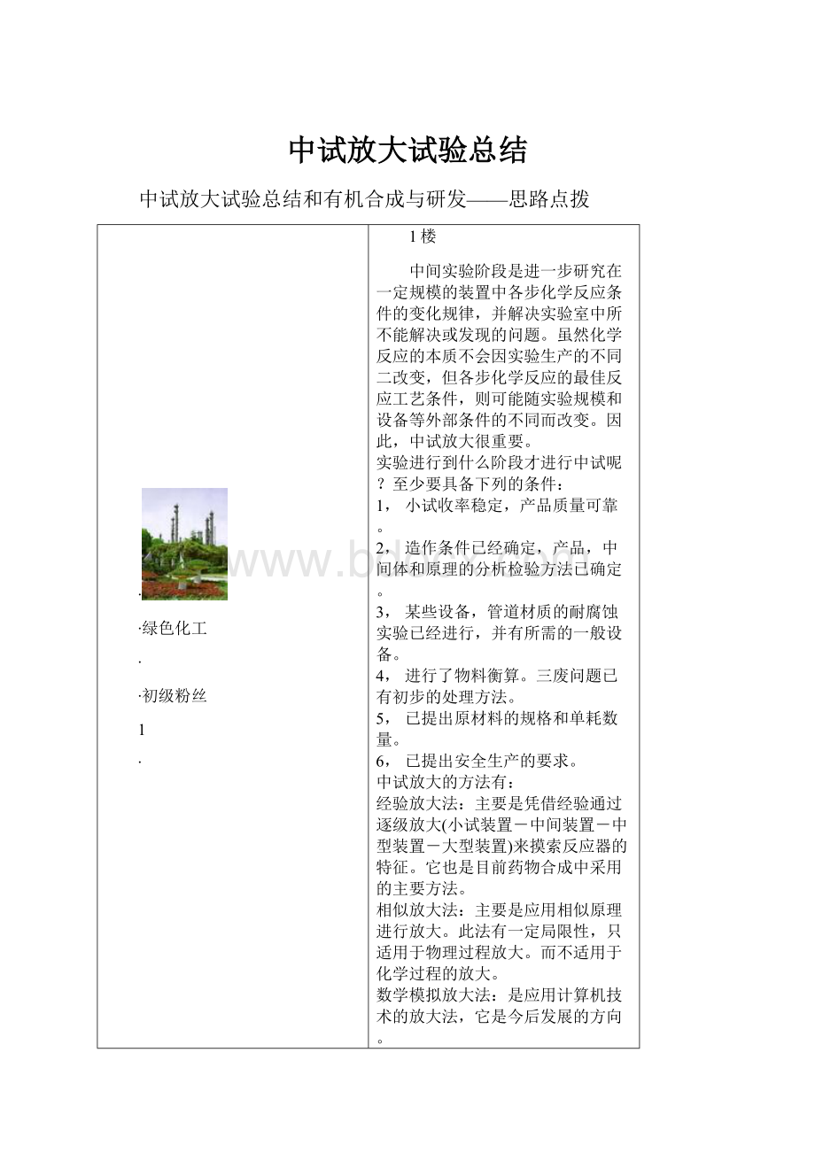 中试放大试验总结.docx_第1页