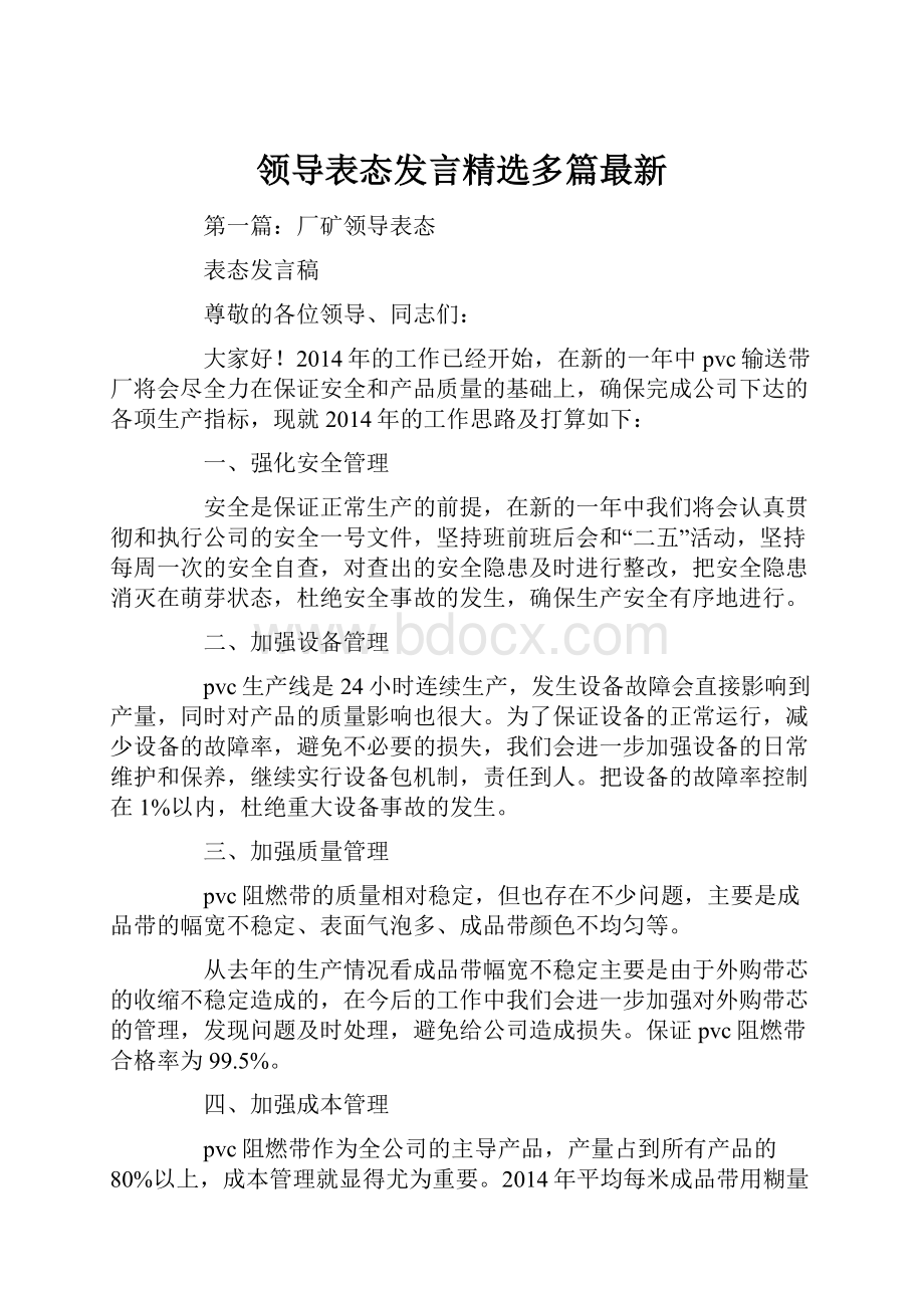 领导表态发言精选多篇最新.docx