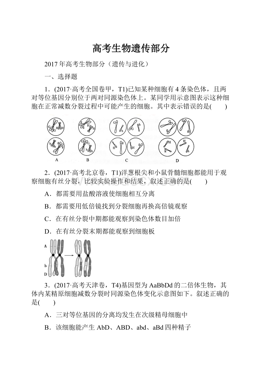 高考生物遗传部分.docx