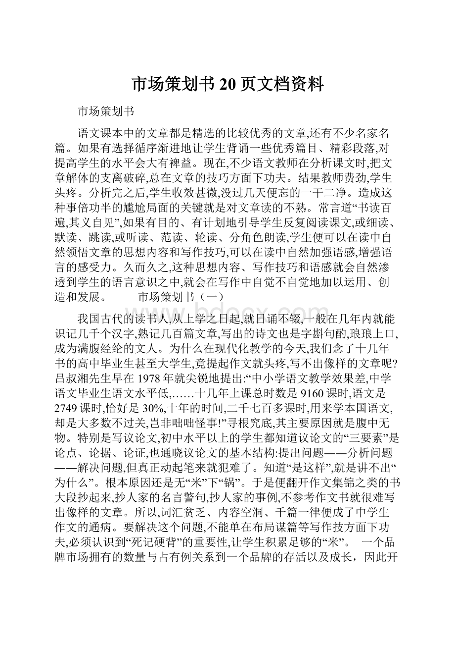 市场策划书20页文档资料.docx