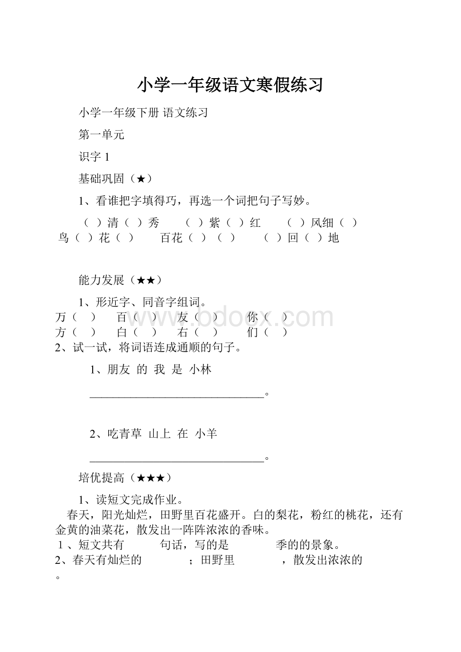 小学一年级语文寒假练习.docx