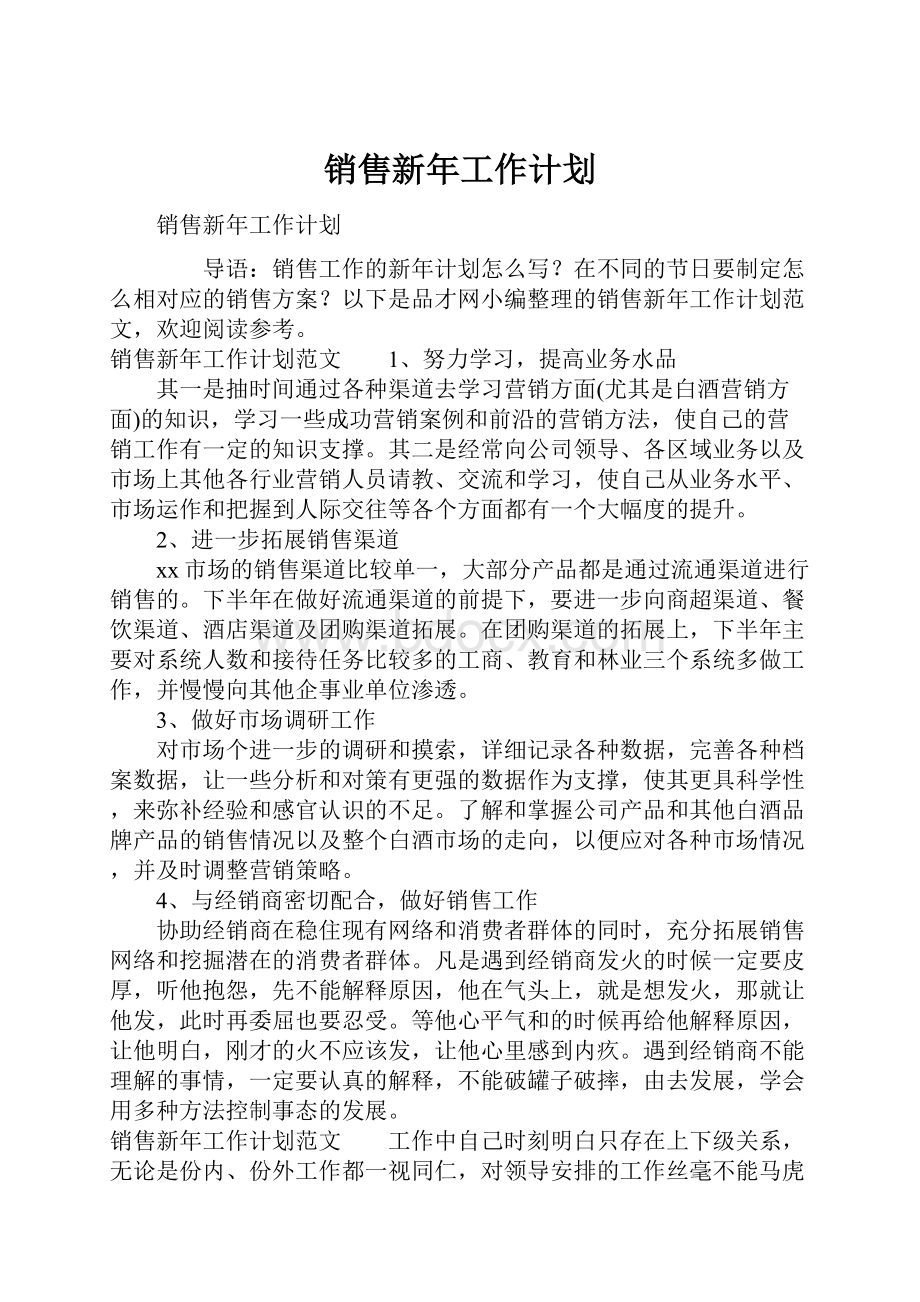 销售新年工作计划.docx