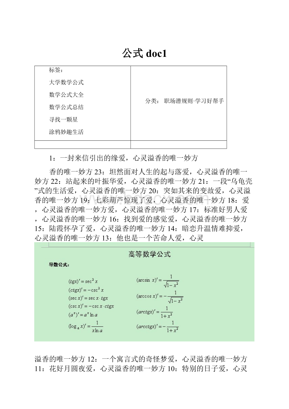 公式doc1.docx_第1页