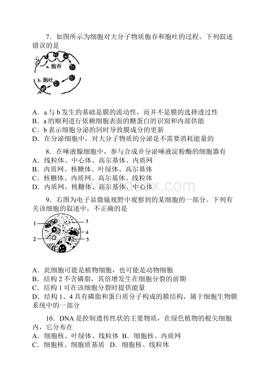 高一生物试题doc.docx_第3页