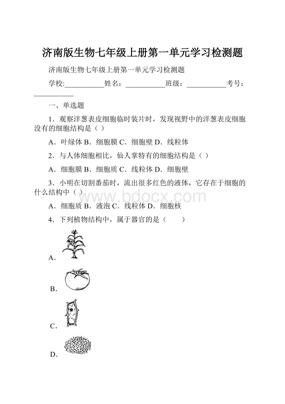 济南版生物七年级上册第一单元学习检测题.docx