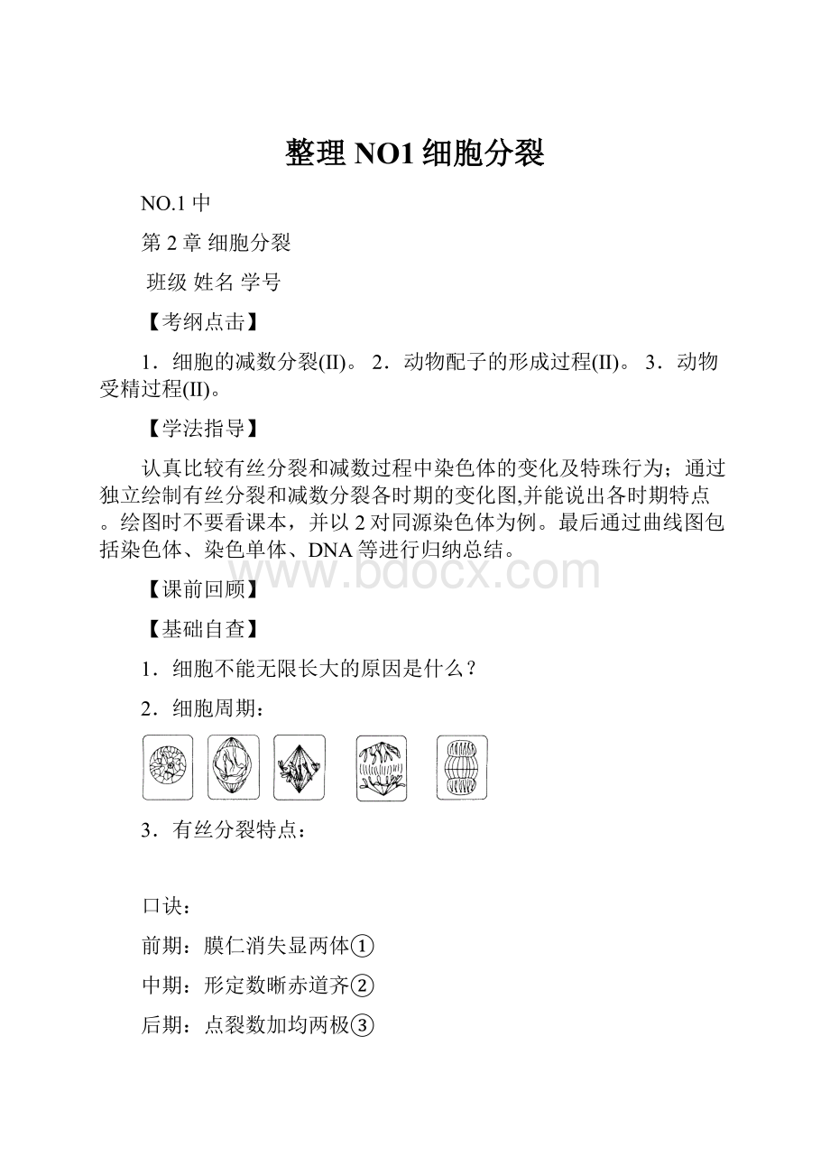 整理NO1细胞分裂.docx_第1页