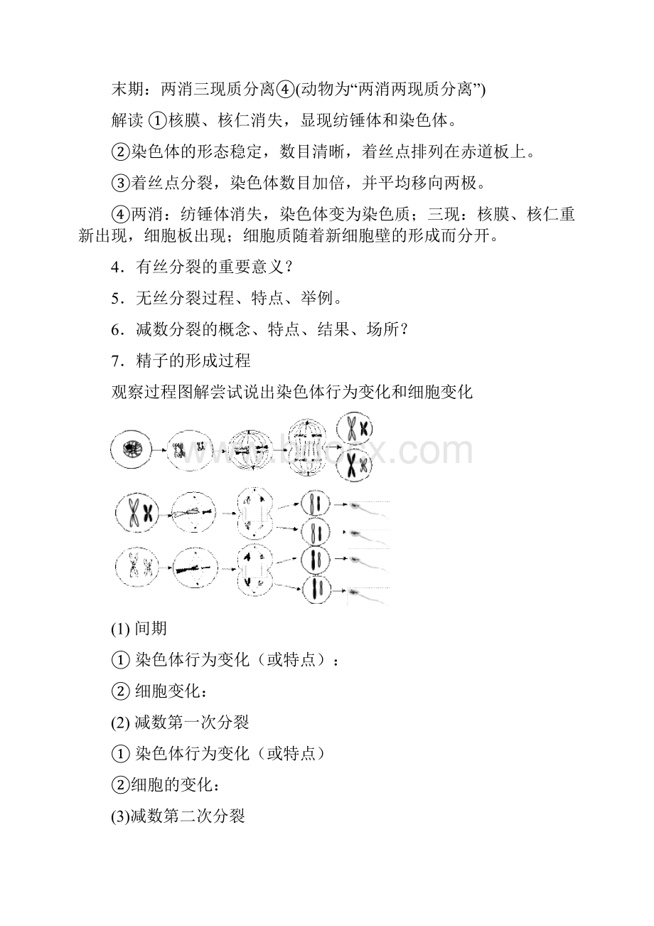 整理NO1细胞分裂.docx_第2页