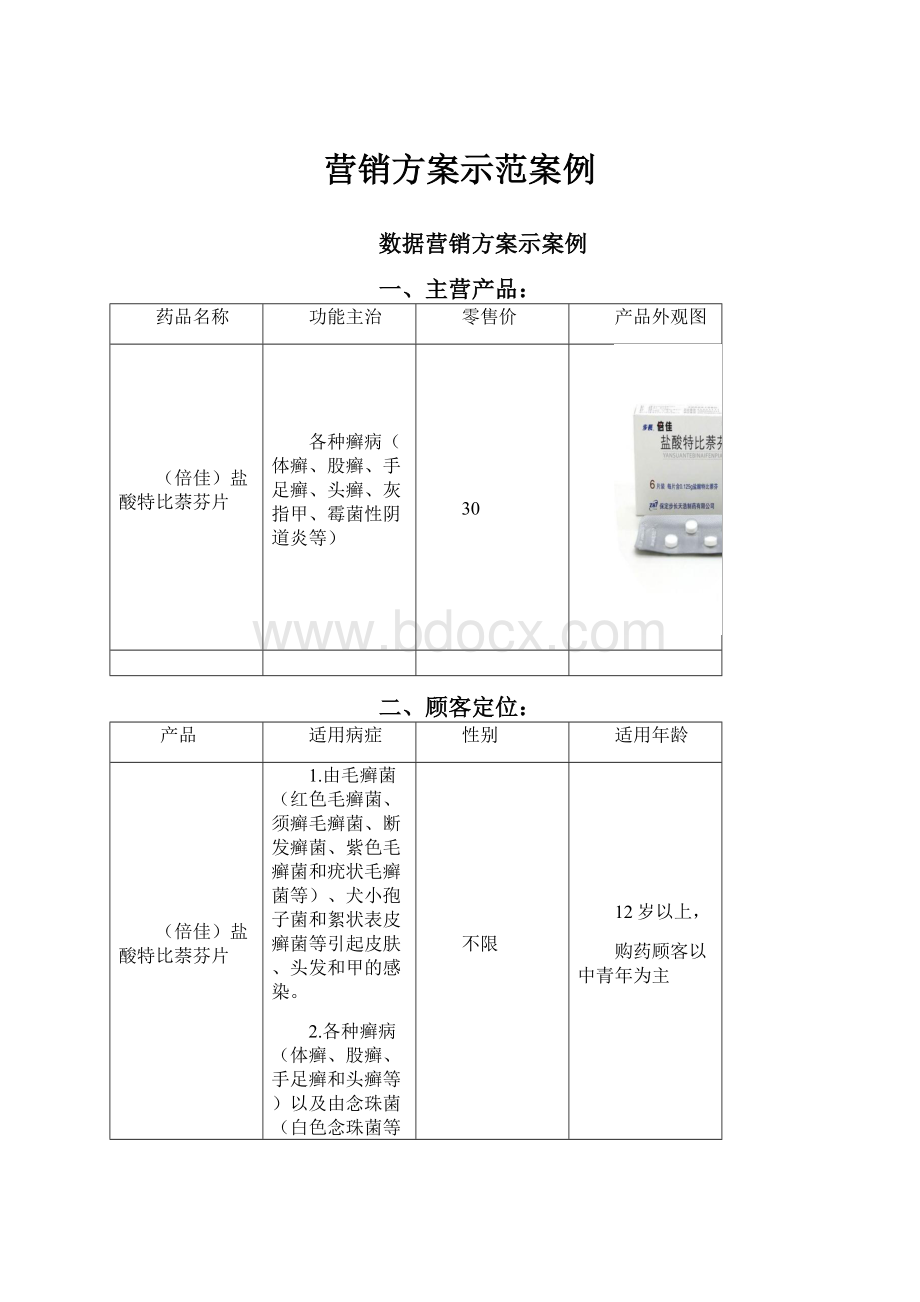 营销方案示范案例.docx