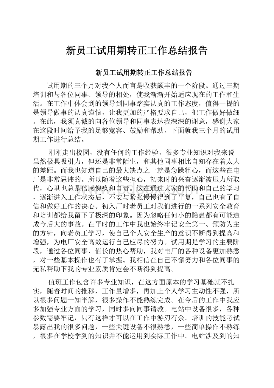 新员工试用期转正工作总结报告.docx