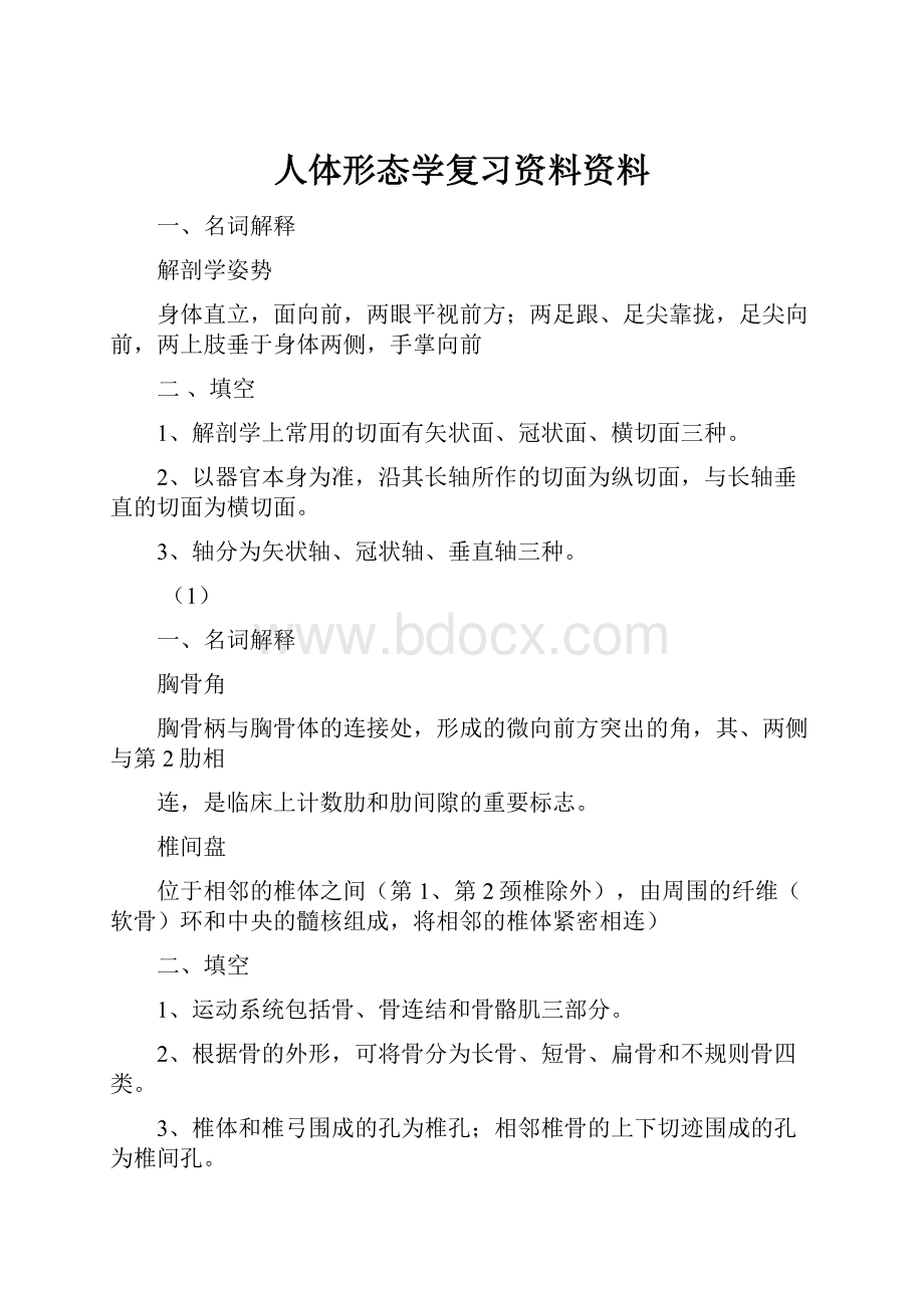 人体形态学复习资料资料.docx