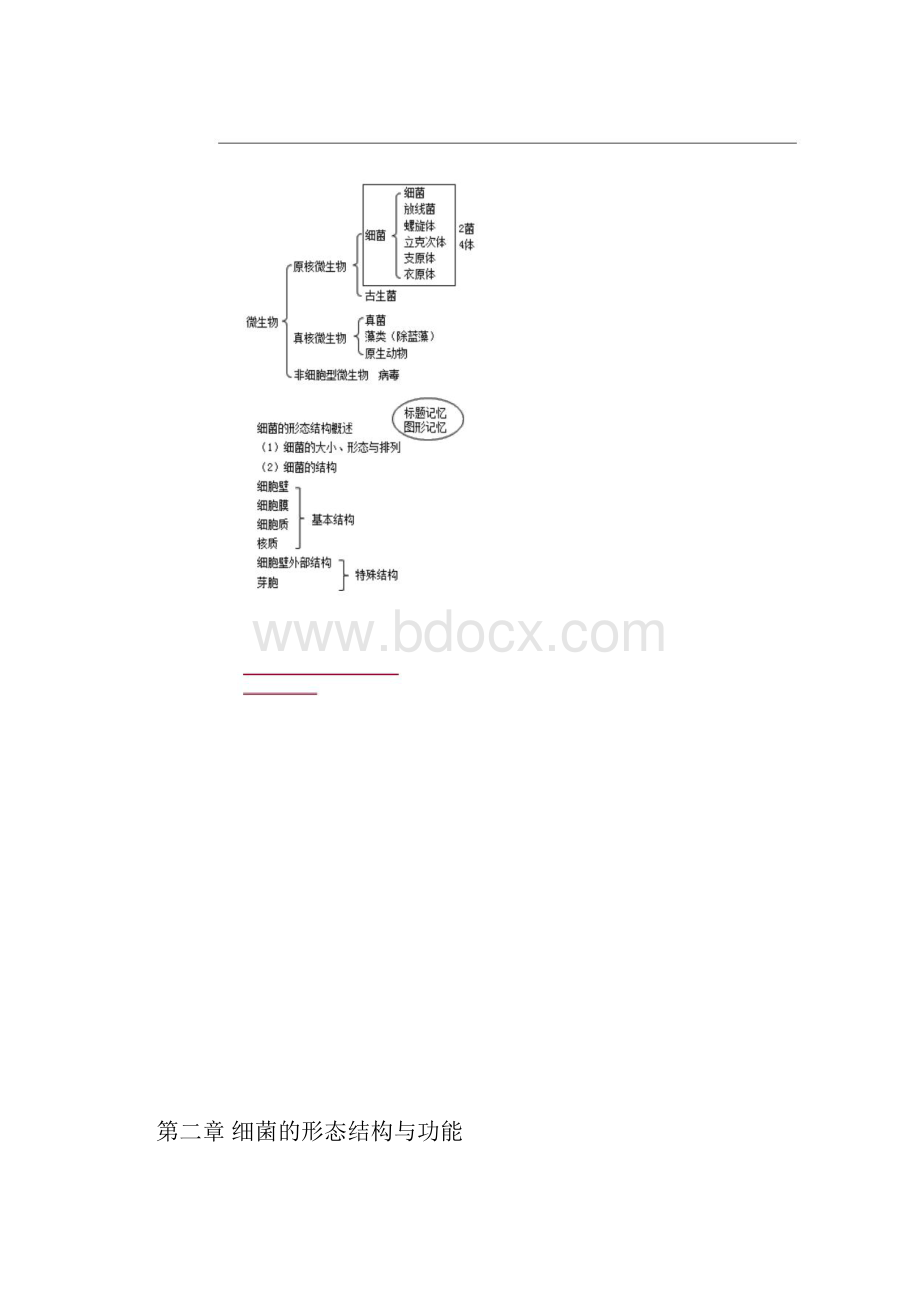 临床检验技师微生物检验讲义第二章细菌的形态结构与功能.docx_第2页