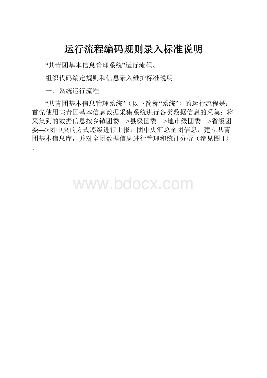 运行流程编码规则录入标准说明.docx_第1页