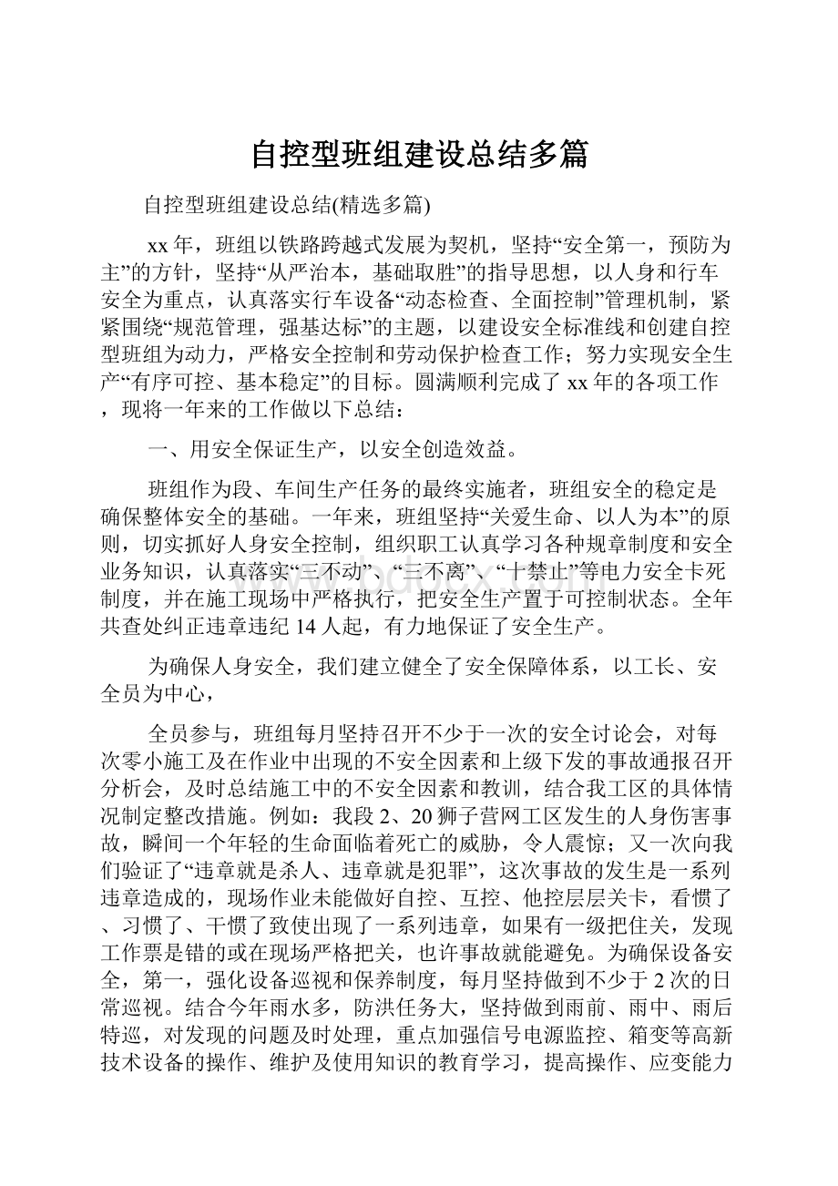 自控型班组建设总结多篇.docx