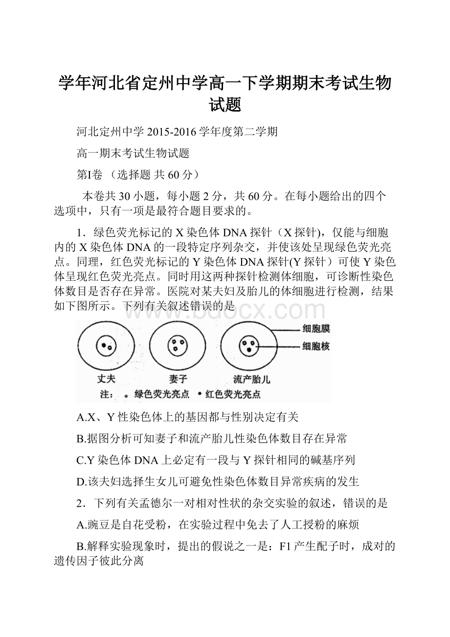 学年河北省定州中学高一下学期期末考试生物试题.docx