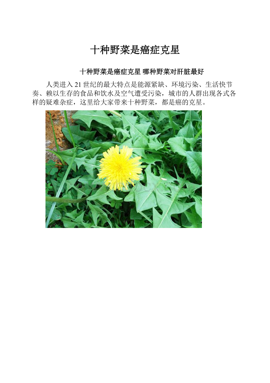 十种野菜是癌症克星.docx