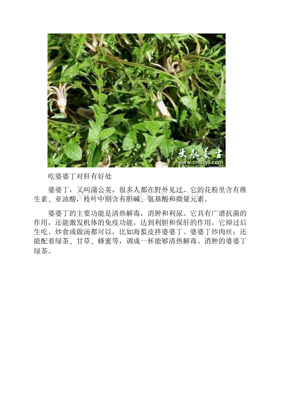 十种野菜是癌症克星.docx_第2页