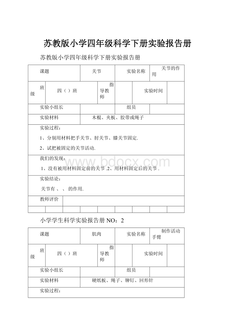 苏教版小学四年级科学下册实验报告册.docx