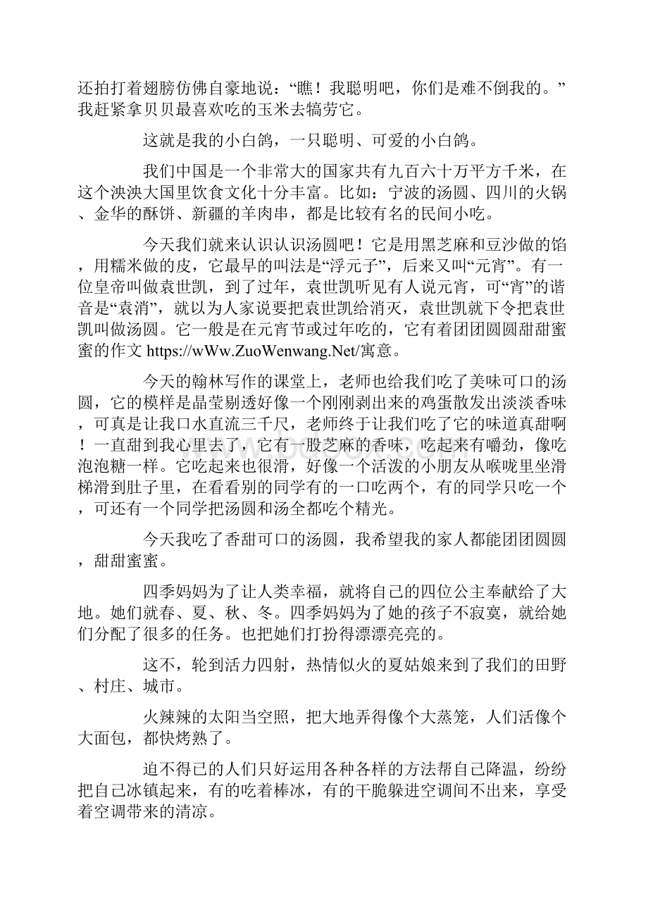 精选优秀作文可爱的小白鸽.docx_第2页