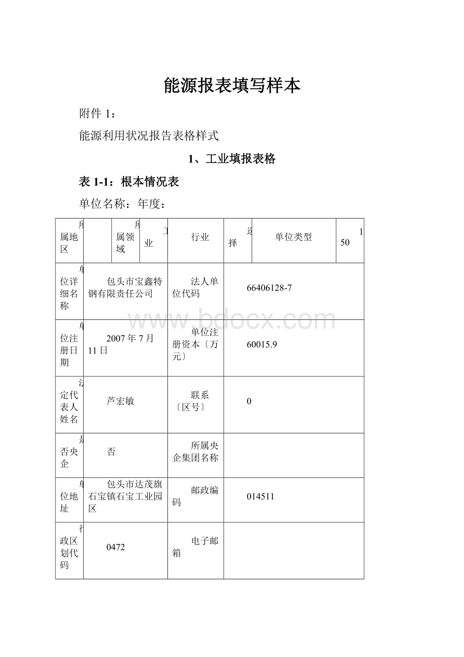 能源报表填写样本.docx