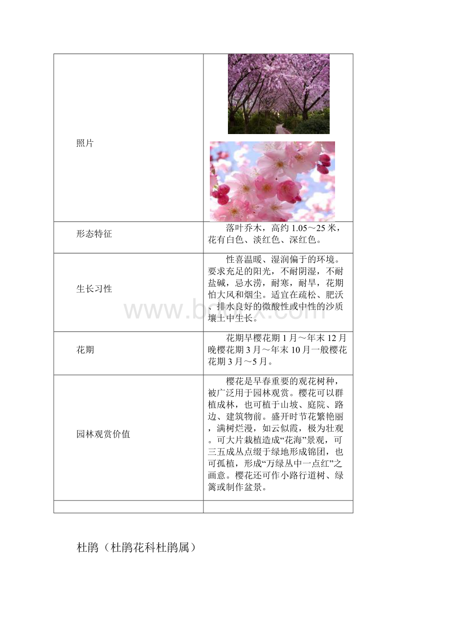 春季常见开花植物.docx_第3页