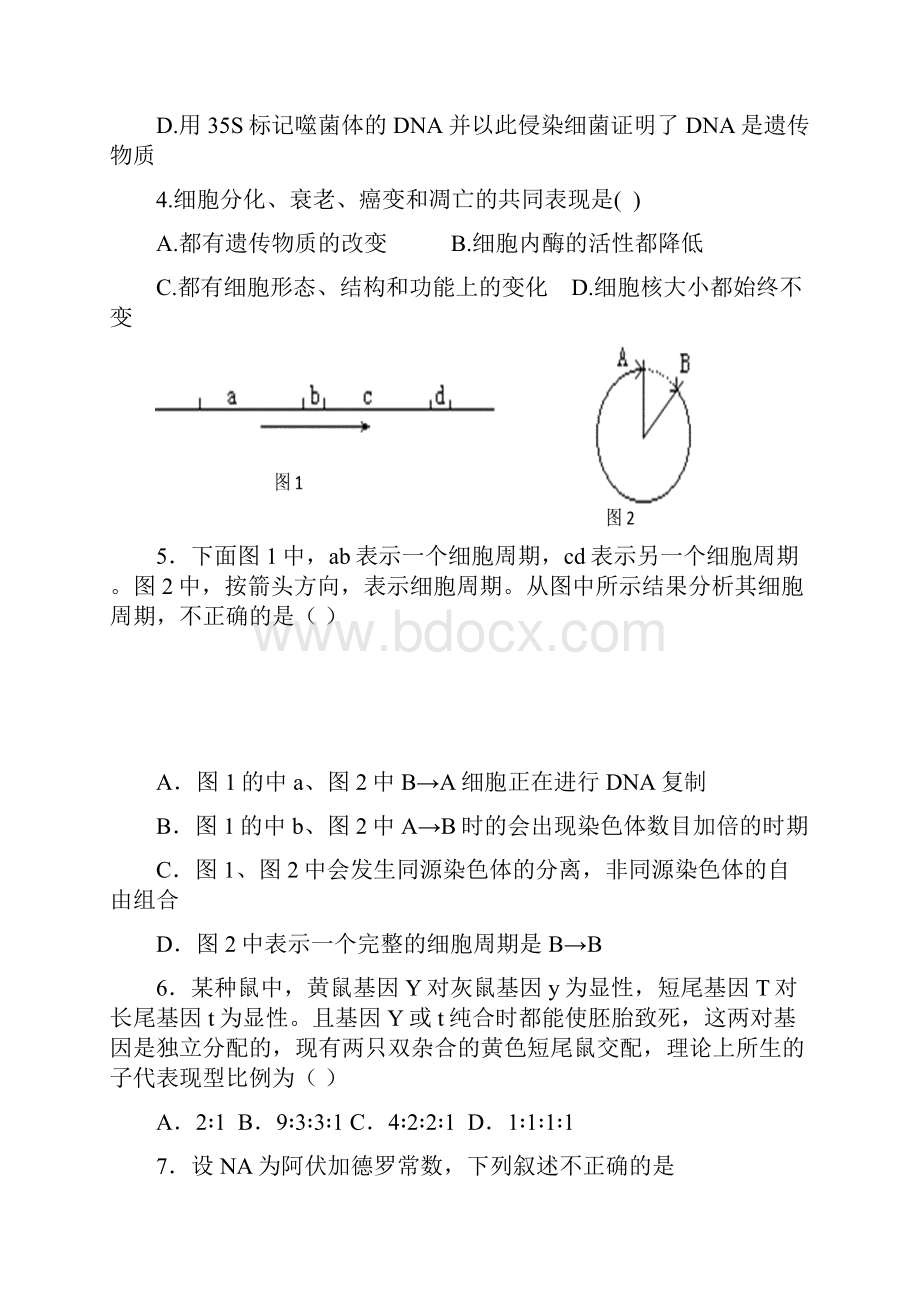 届高三寒假验收理科综合试题.docx_第2页