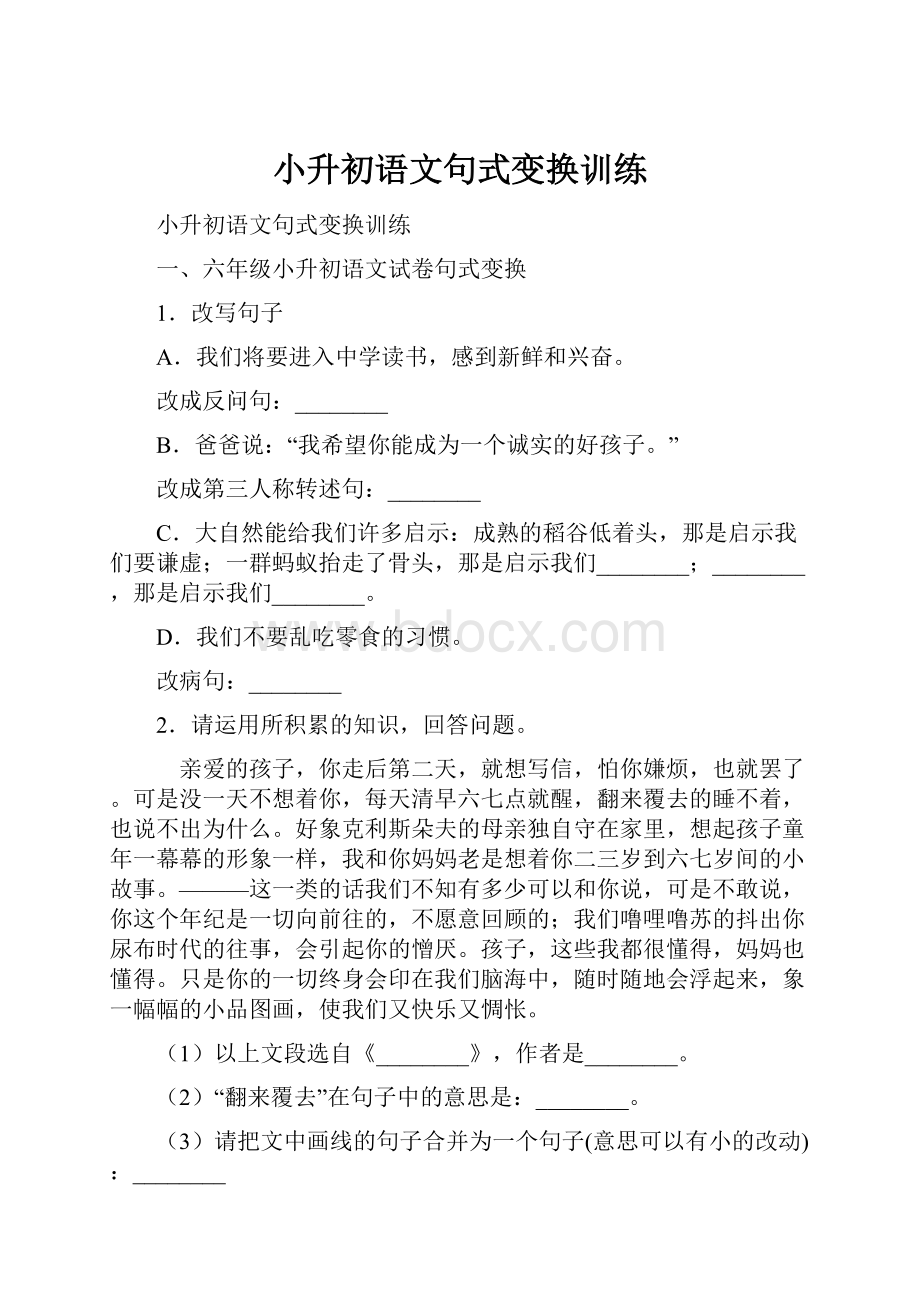 小升初语文句式变换训练.docx