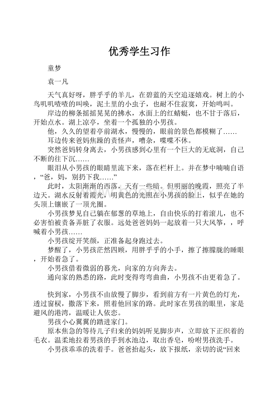 优秀学生习作.docx