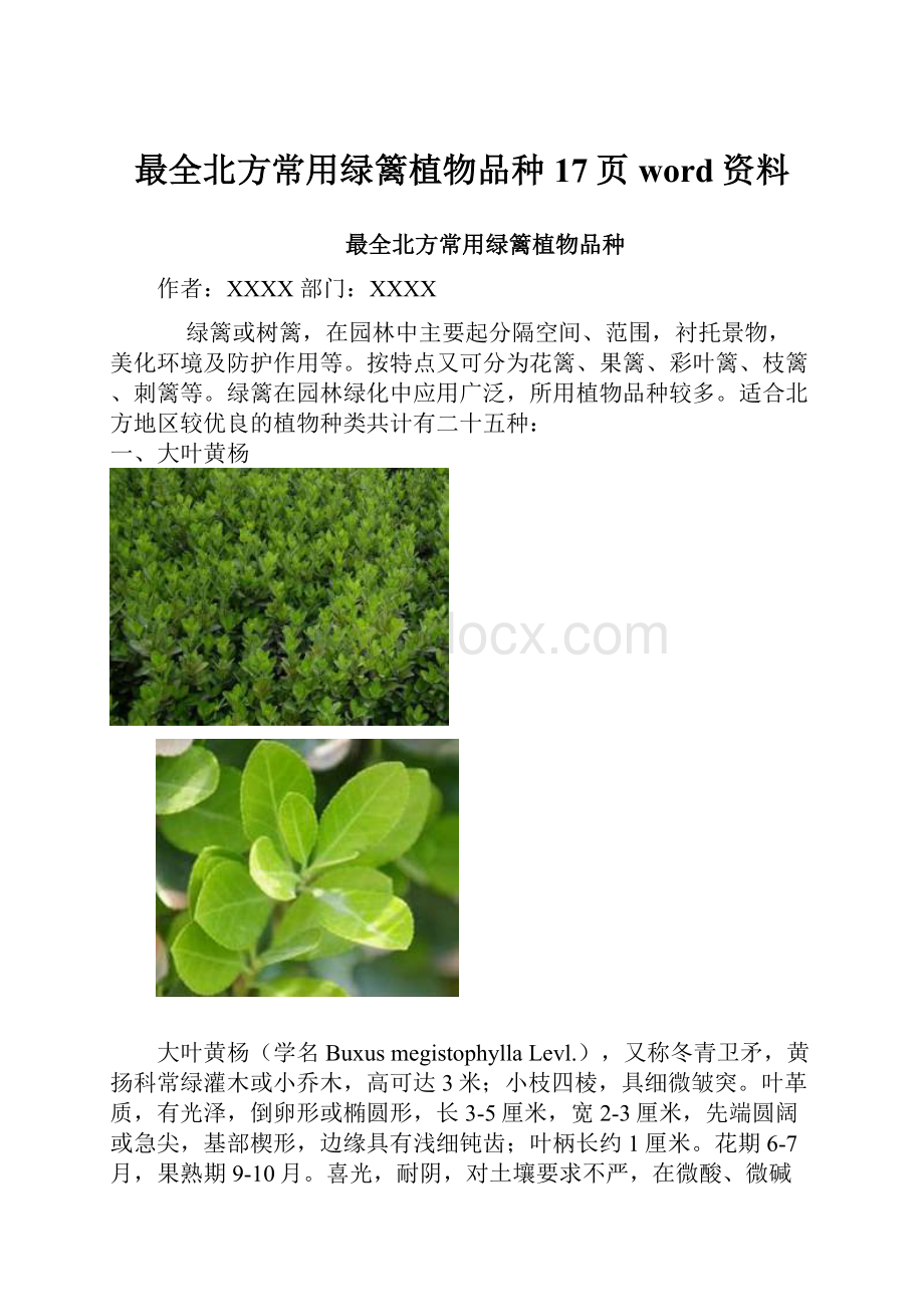 最全北方常用绿篱植物品种17页word资料.docx