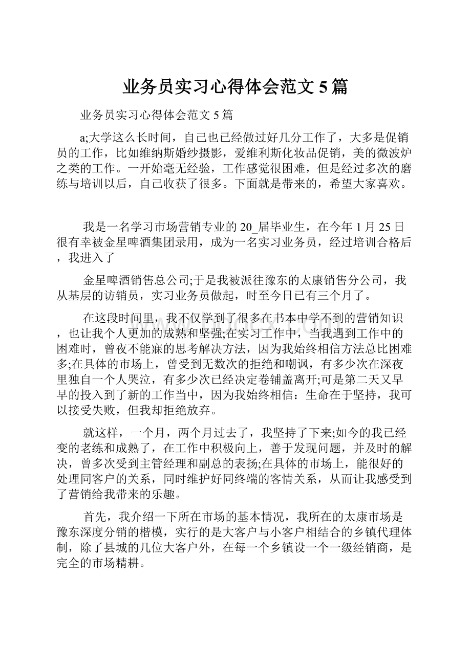 业务员实习心得体会范文5篇.docx