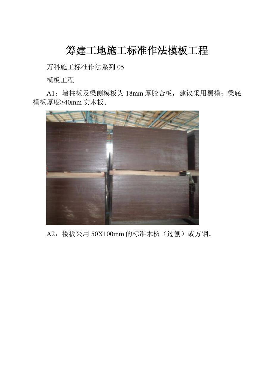 筹建工地施工标准作法模板工程.docx