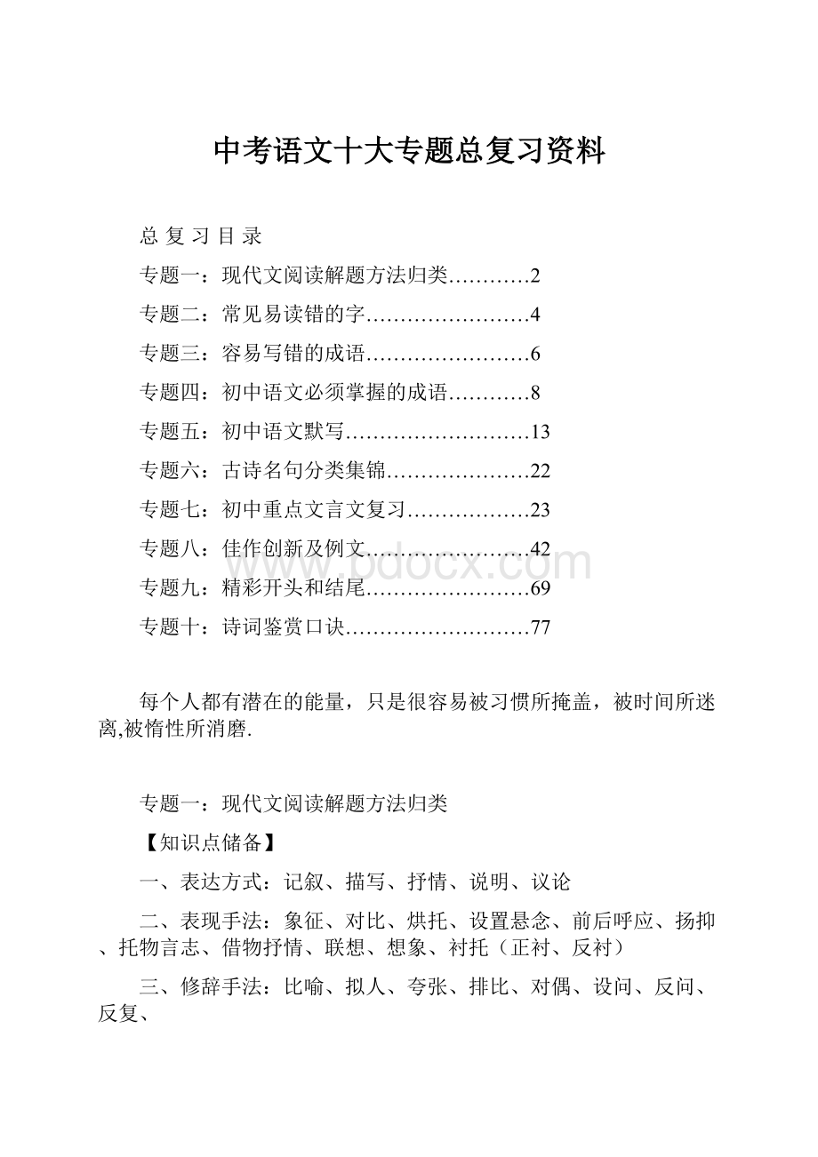 中考语文十大专题总复习资料.docx