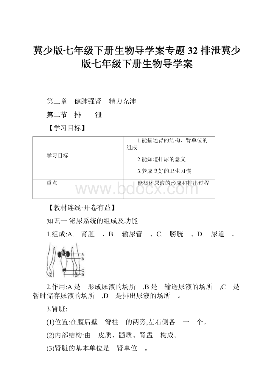 冀少版七年级下册生物导学案专题32 排泄冀少版七年级下册生物导学案.docx