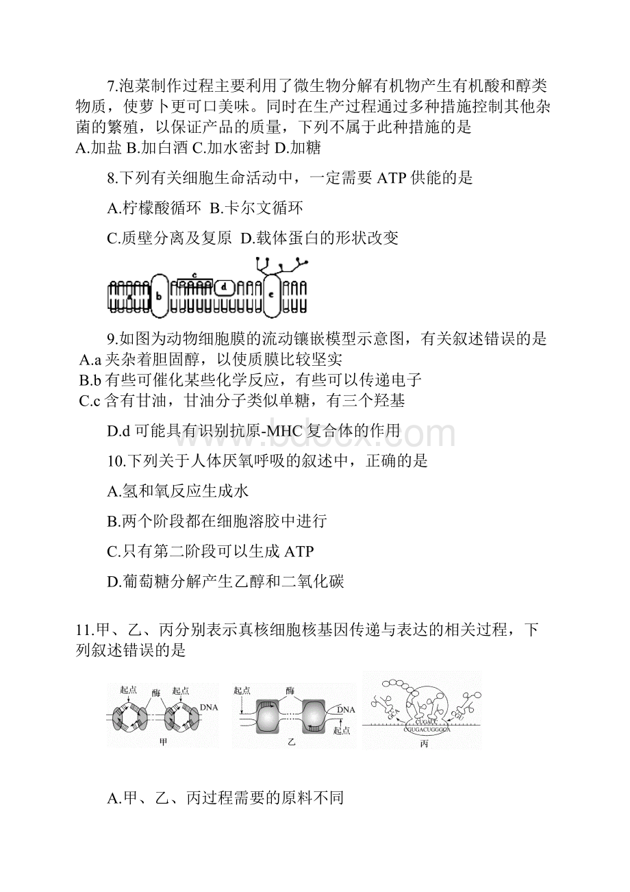 浙江嘉兴第一中学高三上学期期中考试生物试题含答案.docx_第3页