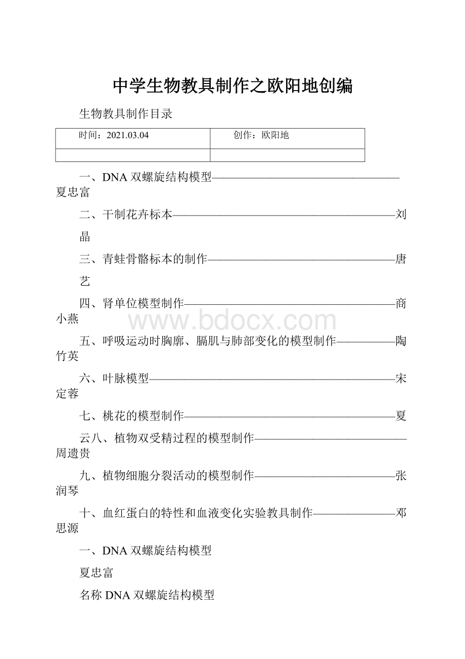 中学生物教具制作之欧阳地创编.docx