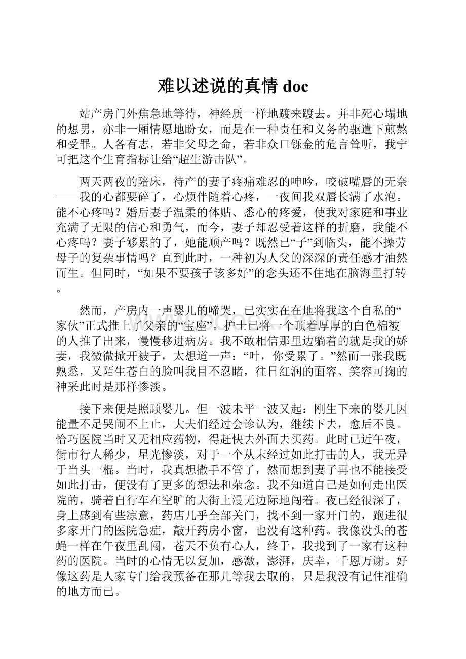 难以述说的真情doc.docx_第1页