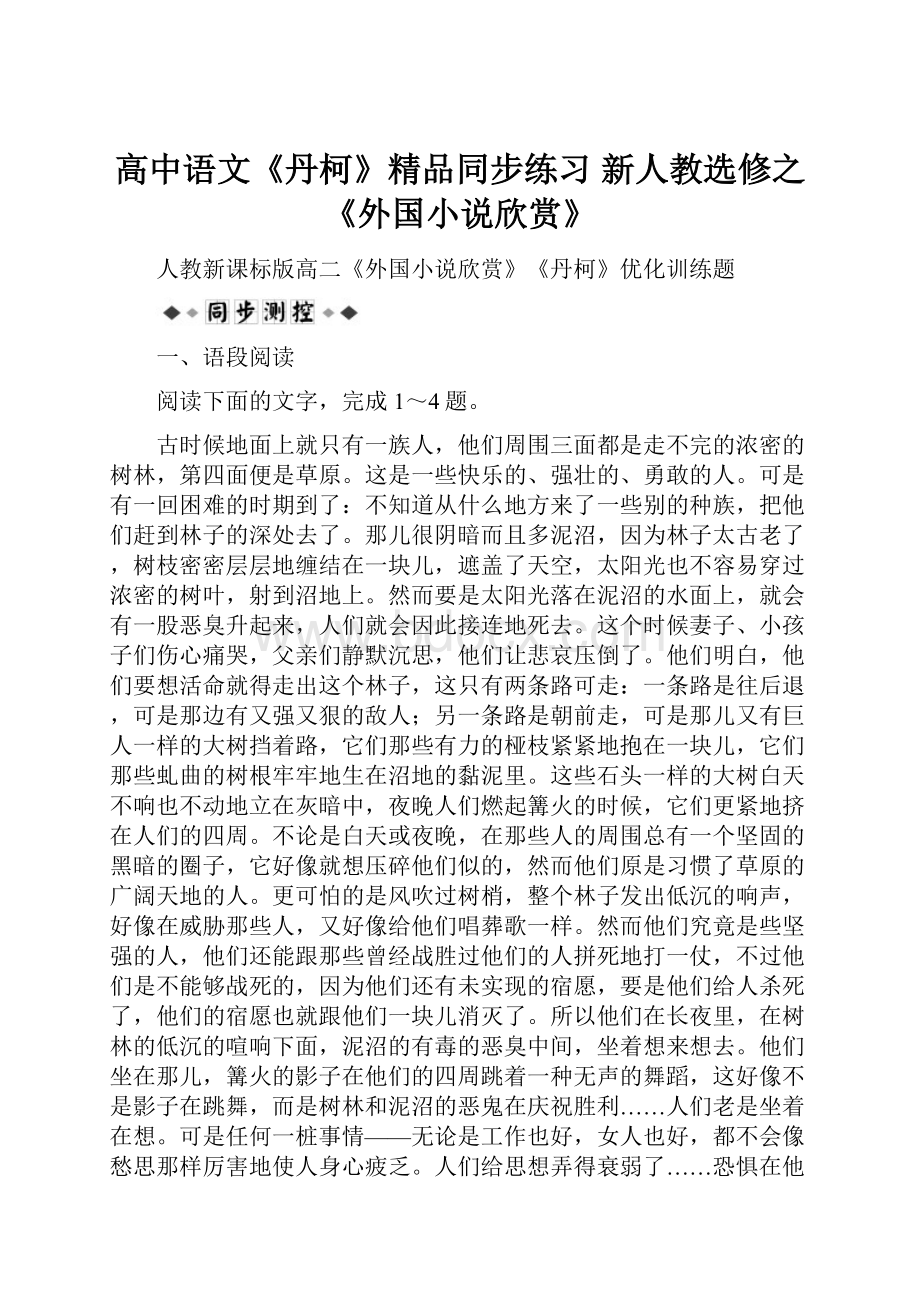 高中语文《丹柯》精品同步练习 新人教选修之《外国小说欣赏》.docx